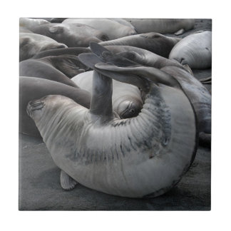 Das Meerjungfrau-Siegel - Fliese