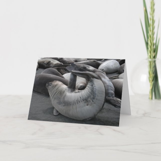 Das Meerjungfrau-Siegel Karte (Vorderseite)