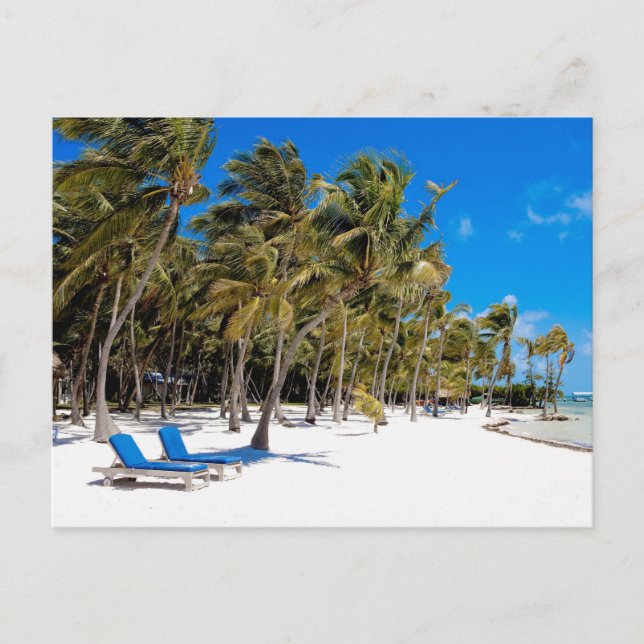 Das Moorings Resort, Marathon, Key West, 3 Postkarte (Vorderseite)