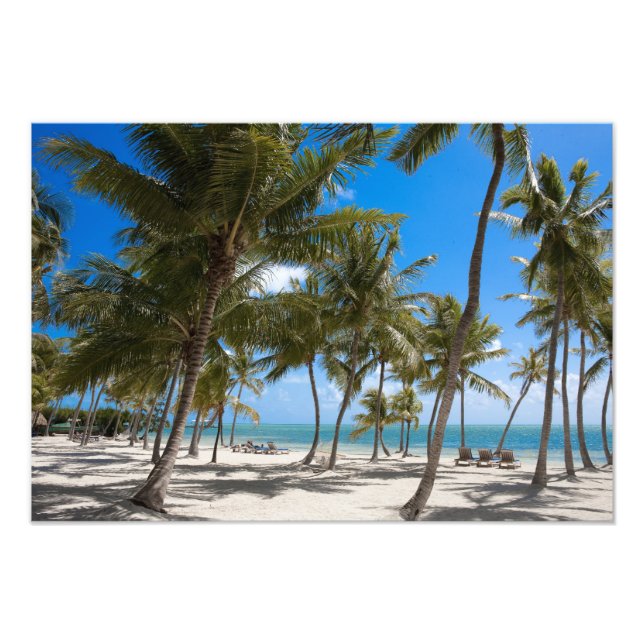 Das Moorings Resort, Marathon, Key West, Fotodruck (Vorne)
