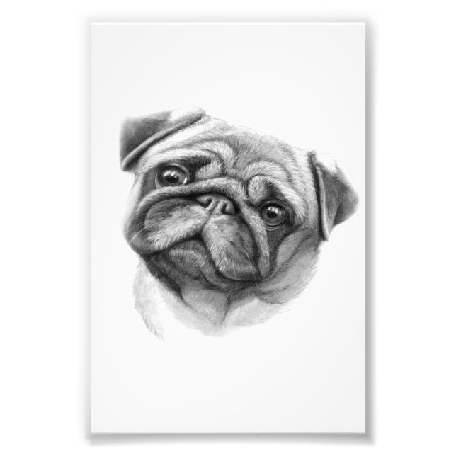 Das Mops-Portrait | NIEDLICHER MOPS Fotodruck (Vorne)