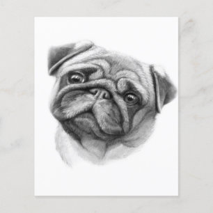 Das Mops-Porträt Süßes Mops-Gesicht Flyer