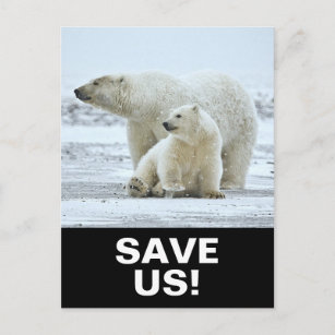 Das Motto des Klimaschutzes für Polarbären auf sch Postkarte