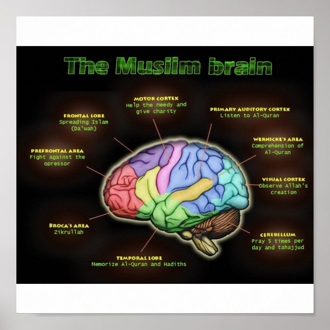 Das MUSLIMISCHE BRAIN-Poster Poster (Vorne)