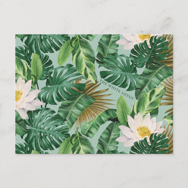 Das Muster des tropischen Lotus-Lotus Postkarte (Vorderseite)
