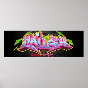 Das NamensHailey in den Graffiti Poster