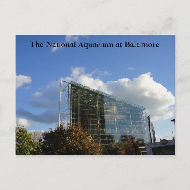 Das nationale Aquarium von Baltimore Postkarte (Vorderseite)
