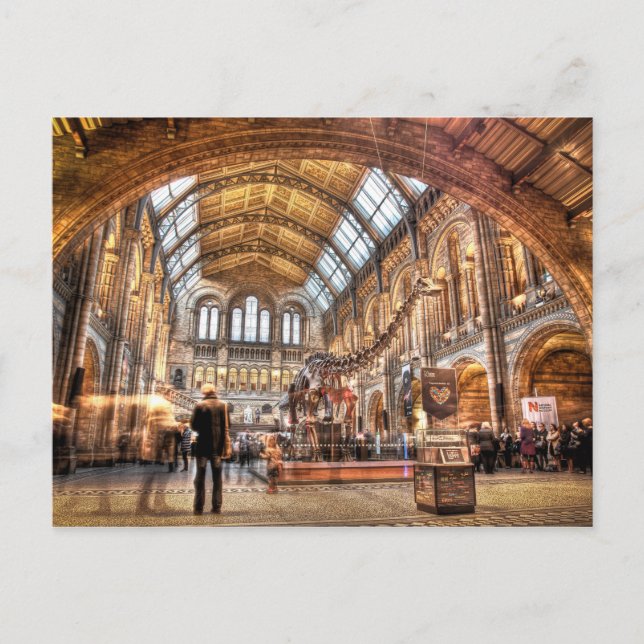 Das Naturgeschichte-Museum, London Postkarte (Vorderseite)
