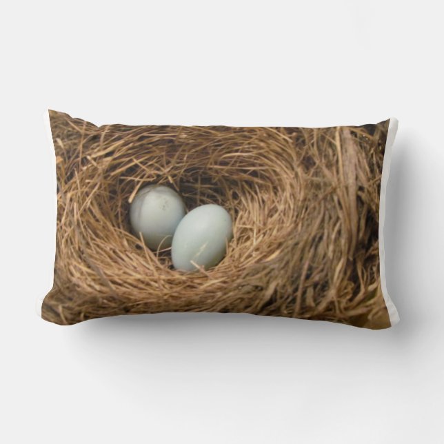 Das Nest des Vogels mit Robins Ei-Kissen Lendenkissen (Vorderseite)