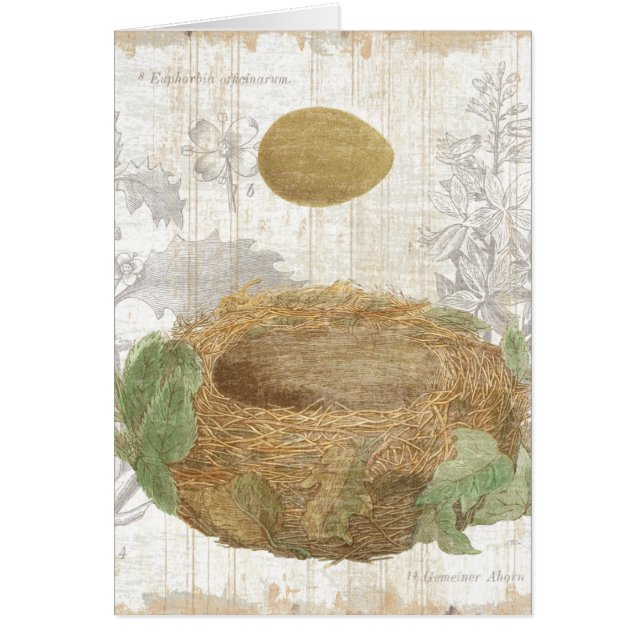 Das Nest eines Vogels mit einem Brown-Ei (Vorne)