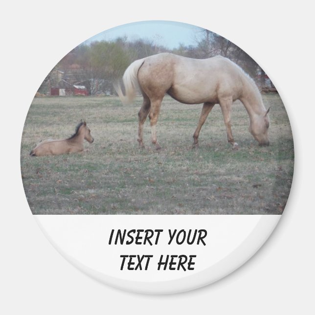 Das neue Magnet (Vorne)