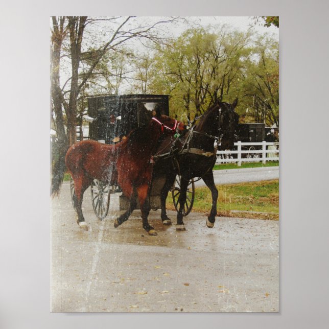 Das neue Pferd Zuhause auf dem Weg nach Amish Poster (Vorne)