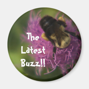 Das neueste Buzz!! Magnet