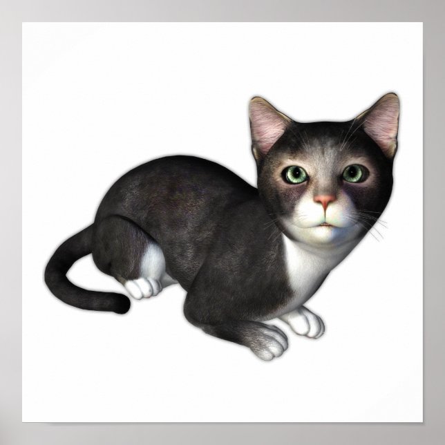 Das neugierige graue Kitten Poster (Vorne)