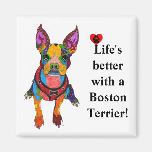 Das niedliche Leben ist besser mit einem Boston Te Magnet