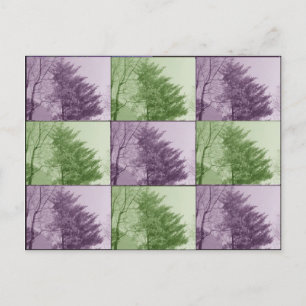 das nördlichste von neun postkarte