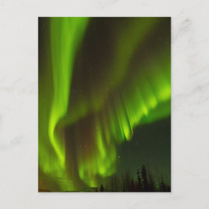 Das Nordlicht Fairbanks, Alaska Postkarte