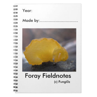 Das Notizbuch des Feldnaturwissenschaftlers durch Notizblock