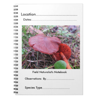 Das Notizbuch des Feldnaturwissenschaftlers durch Notizblock