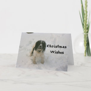 Das Nowzad verfolgt Weihnachtskarte (1) Feiertagskarte