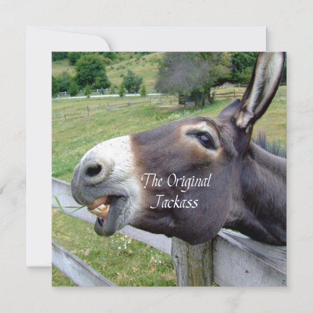 Das Original Jackass Funny Donkey Mule Farm Animal (Vorderseite)
