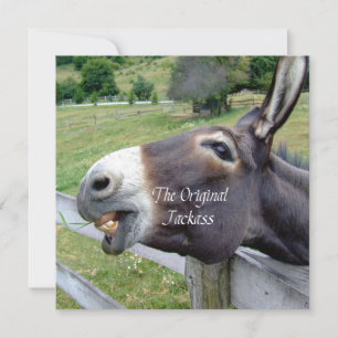 Das Original Jackass Funny Donkey Mule Farm Animal