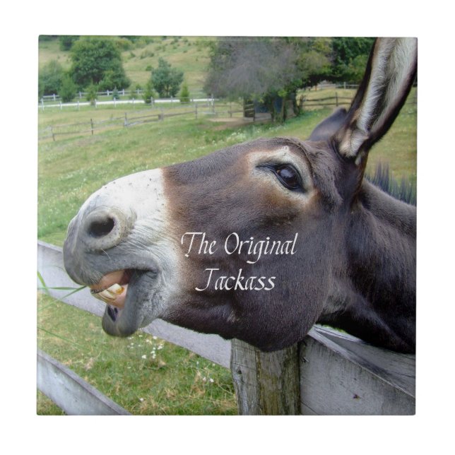 Das Original Jackass Funny Donkey Mule Farm Animal Fliese (Vorderseite)