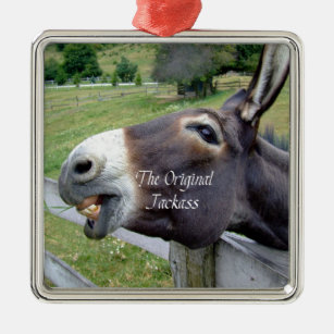 Das Original Jackass Funny Donkey Mule Farm Animal Silbernes Ornament