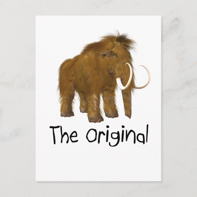 "Das Original" Postkarte (Vorderseite)