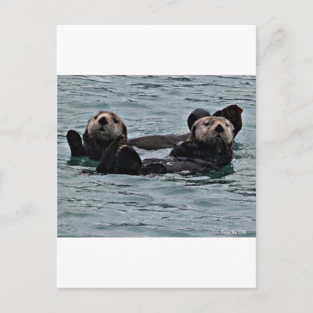 Das Otter-Paar Postkarte (Vorderseite)