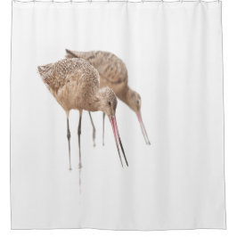 Das Paar von Marbled Godwit Duschvorhang
