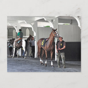 Das Paddock im Belmont Park Postkarte