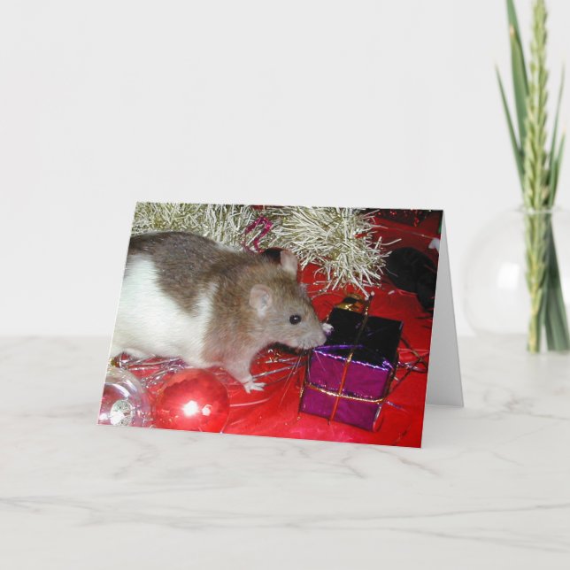 Das Paket des Finks Feiertagskarte (Vorderseite)