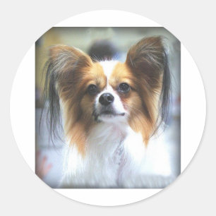 Das PAPILLON Runder Aufkleber