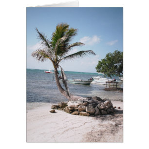 Das Paradies des Fischers