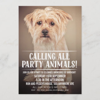 DAS PARTY-FOTO DES HAUSTIER-WELPEN-HUNDES LADEN EINLADUNG