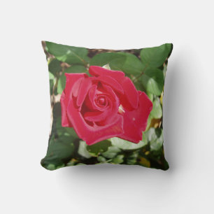 Das perfekte Rose-Kissen Kissen