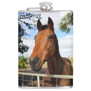 Das Pferd hauen, Hüftflasche Flachmann