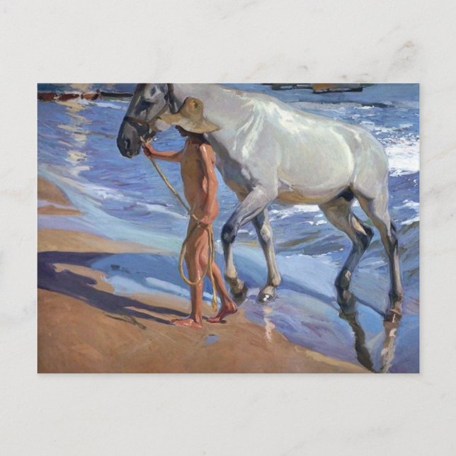 Das Pferd waschen Postkarte (Vorderseite)