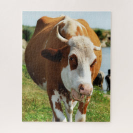 Das Phantastische Singtier der Kuh