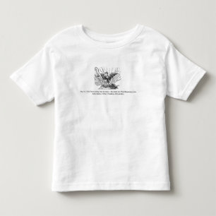 Das Phoenix, das von seiner Asche steigt Kleinkind T-shirt