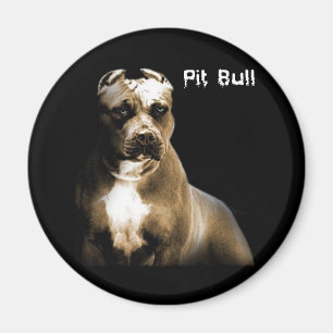 Das PITbull Magnet