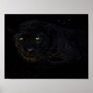 Das Plakat des schwarzen Panthers