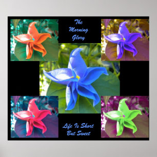 Das Poster der Morgenherrschaft