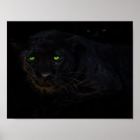 Das Poster der schwarzen Panther