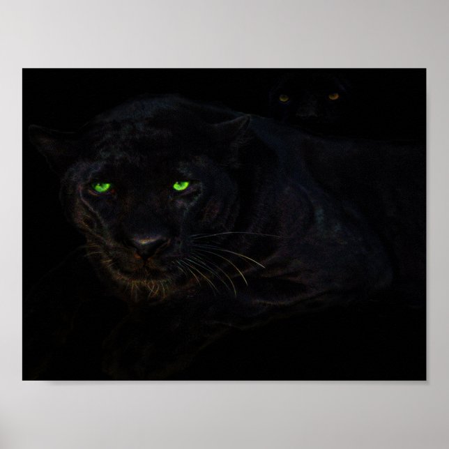 Das Poster der schwarzen Panther (Vorne)