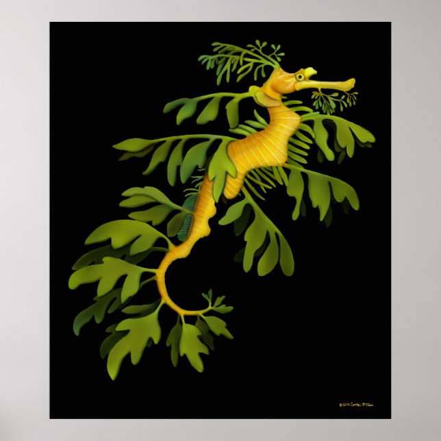 Das Poster des Drachen-Seepferds aus der Blätterme (Vorne)