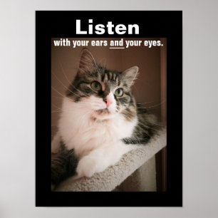 Das Poster zum Anhören