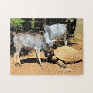 Das Puzzle am National Lick a Tortoise Day