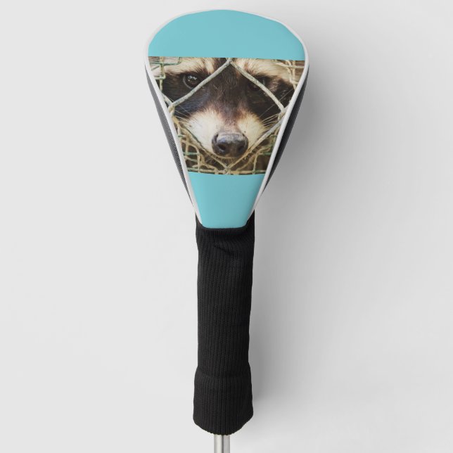 DAS RACCON AUF DER TREIBERDECKUNG GOLF HEADCOVER (Vorderseite)